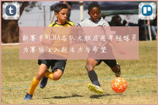 新赛季WCBA各队大胆启用年轻球员为赛场注入新活力与希望