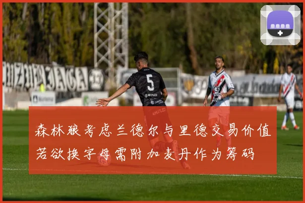 森林狼考虑兰德尔与里德交易价值若欲换字母需附加麦丹作为筹码