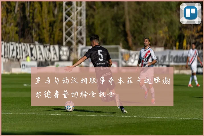 罗马与西汉姆联争夺本菲卡边锋谢尔德鲁普的转会机会